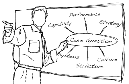Core Questions: Capability, Performance, Strategy, Systems, Structure, Culture.